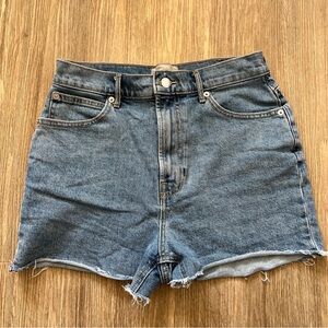 Everlane Way-high denim shorts